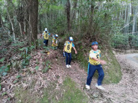 B5C2C4B5-