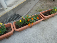 P1000571