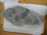 P1000841