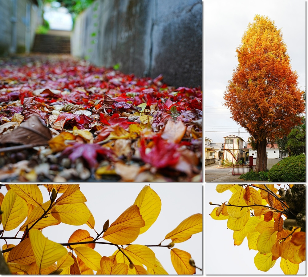 1126　校内風景６